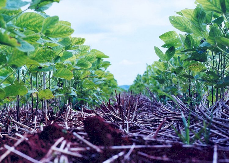 Uma oportunidade para o agro brasileiro