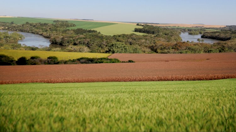 Sul debate práticas conjuntas para redução da emissão de gases de efeito estufa na agricultura