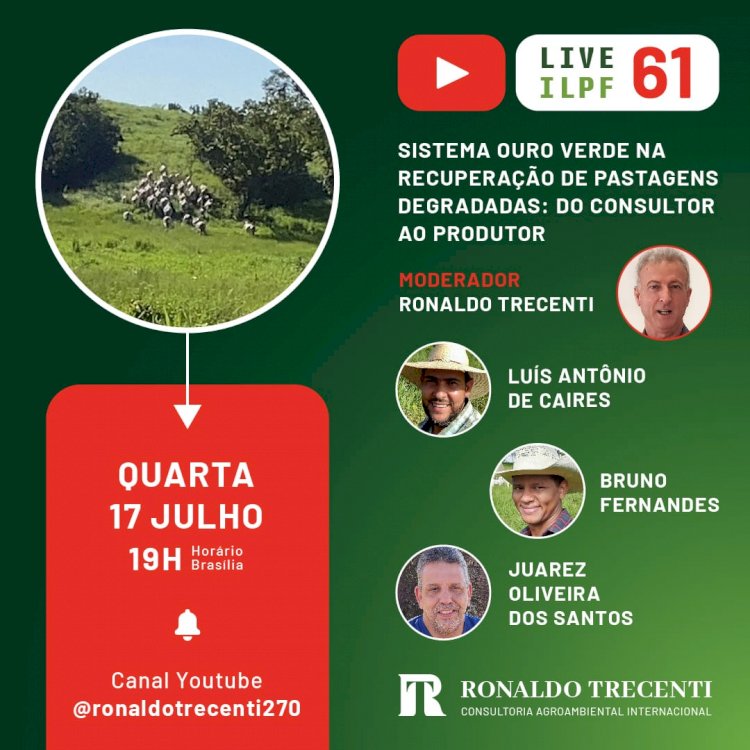 Live: Sistema Ouro Verde de recuperação de pastagens degradadas