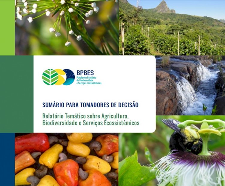 Publicação mostra meios de integrar conservação ambiental e produção rural