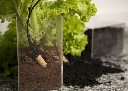 Sensor para irrigação gera economia e aumenta a produtividade da lavoura