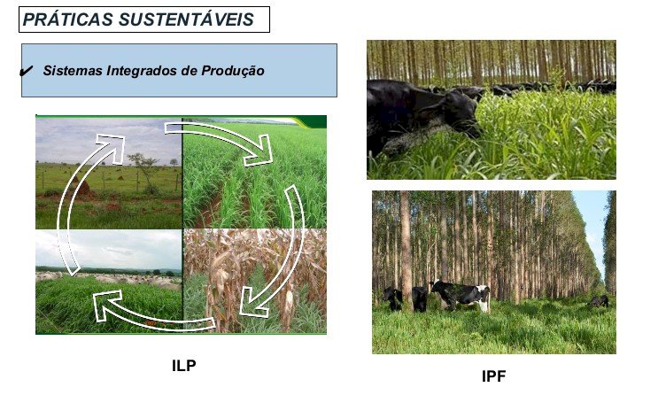 Tecnologias inovadoras favorecem qualidade dos sistemas intensificados de produção