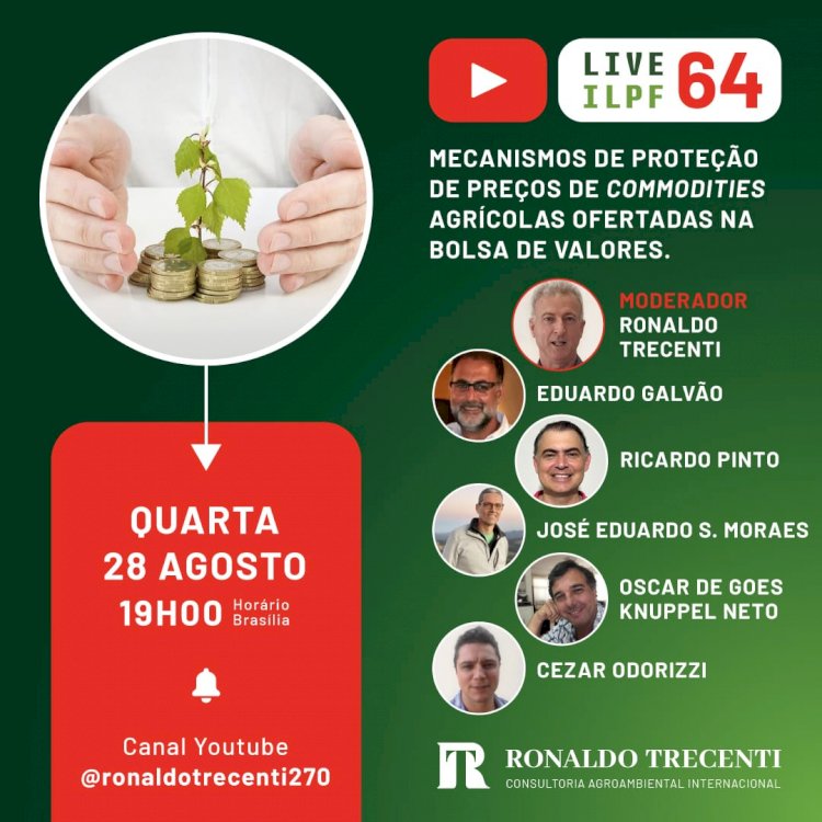 Live de hoje falar sobre como evitar perdas com a queda nos preços das commodities