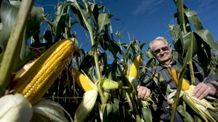 As novas lições do agricultor que ensinou o Brasil a plantar