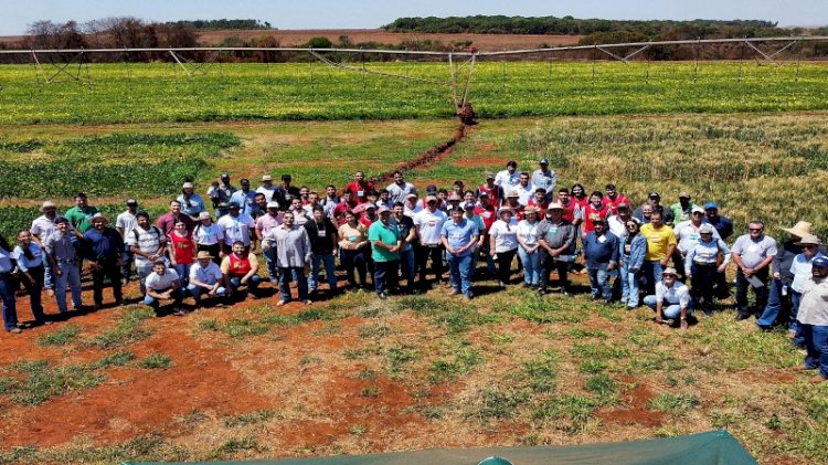 Embrapa Arroz e Feijão e IF Goiano promovem agricultura sustentável no Cerrado