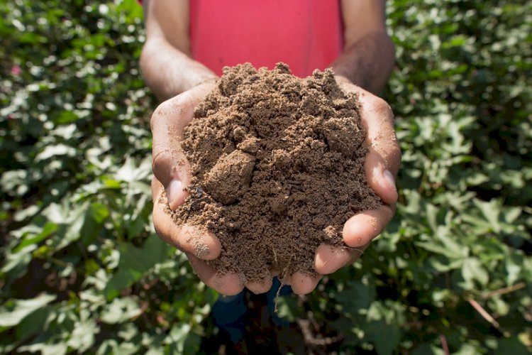 Produção de bioinsumos on-farm