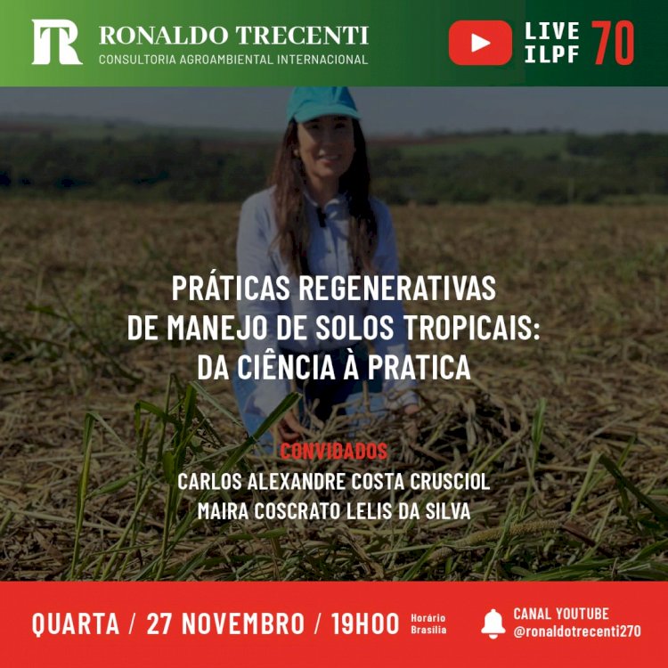 Na live desta quarta: práticas regenerativas de manejo de solos tropicais