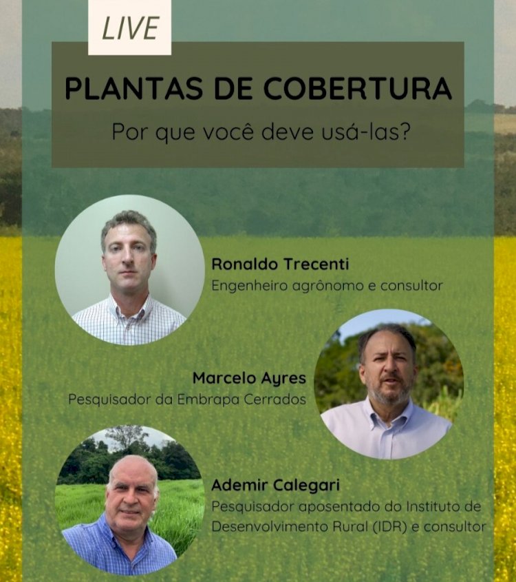Plantas a serviço de uma agricultura mais produtiva e mais sustentável