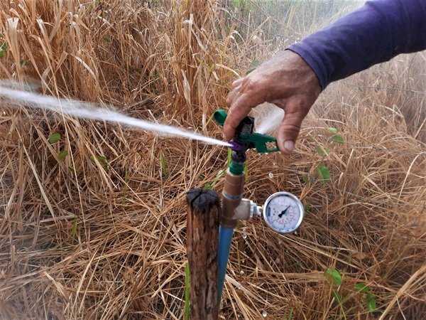 Novo PAC garante instalação de sistema de irrigação em campo experimental