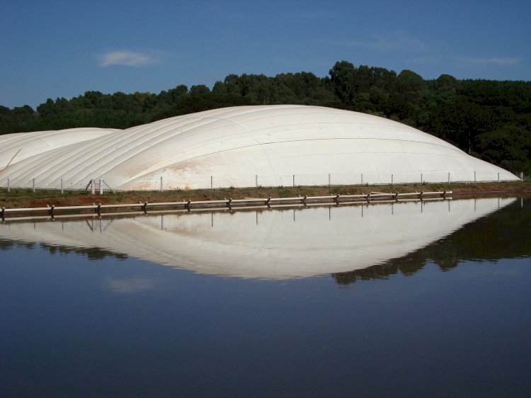 FEBRAPDP e Portal Energia e Biogás unem forças para promover sustentabilidade no Agronegócio