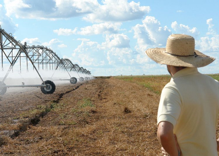 Oeste baiano supera Minas Gerais e se torna o maior polo de irrigação do Brasil
