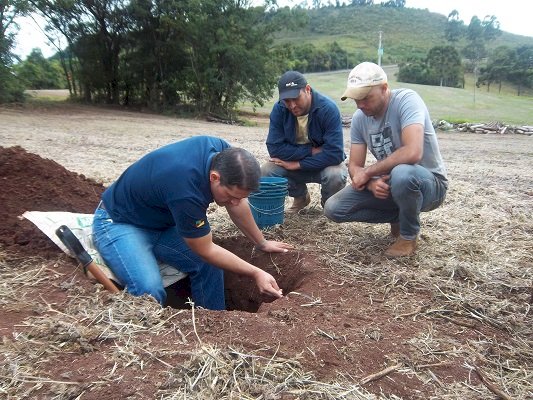Captura de carbono no solo tem papel de destaque na agroindústria familiar