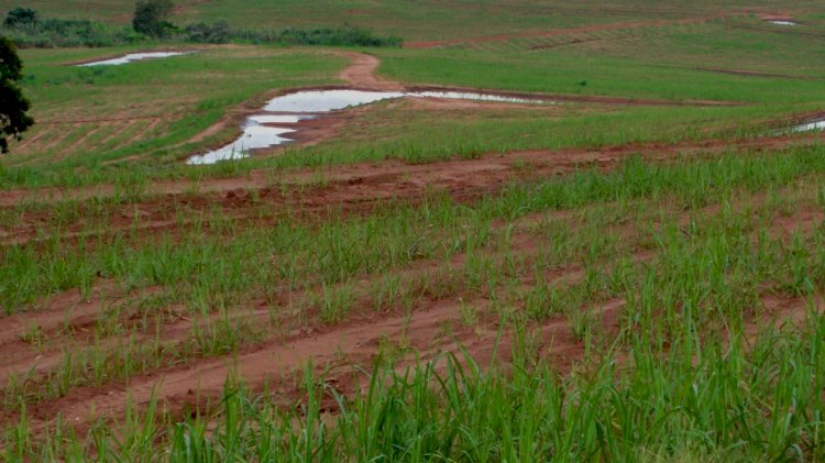 A distribuição equitativa da água como fundamento básico da agricultura regenerativa