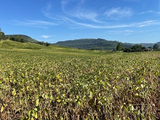 Emater/RS-Ascar acompanha impactos da restrição hídrica e calor nas culturas de verão