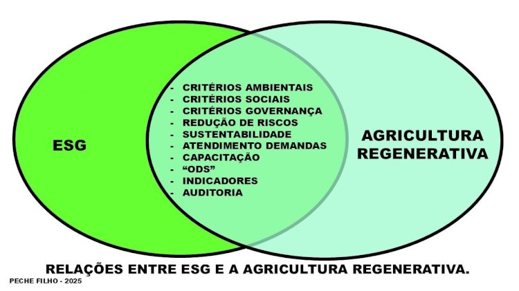 Relações entre ESG e agricultura regenerativa