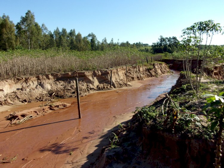 Desafios das mudanças climáticas