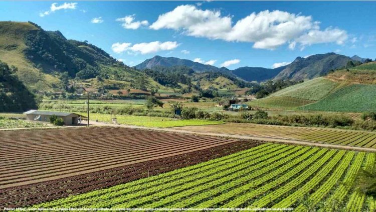 Manejo ecossistêmico de propriedades agrícolas