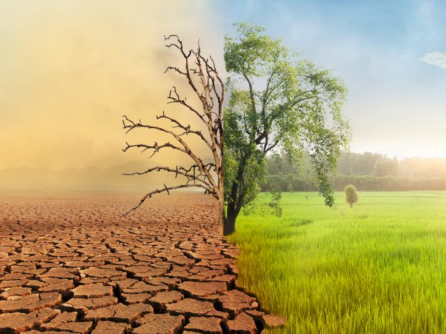 Artigo sobre a Semana de conscientização sobre mudanças climáticas: hora de parar e refletir