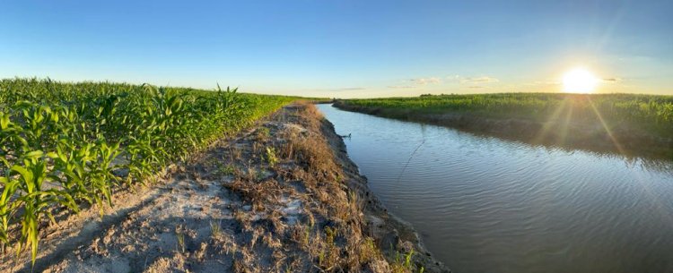 Manejo ecológico da água na agricultura