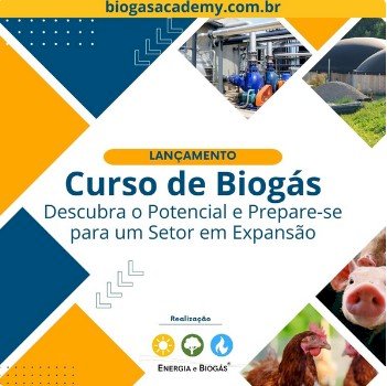 Curso Introdução ao Setor de Biogás: dos Fundamentos às Perspectivas
