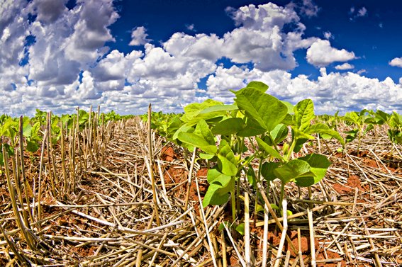 Começa nesta terça, 23, o Congresso Paranaense de Agricultura de Baixa Emissão de Carbono