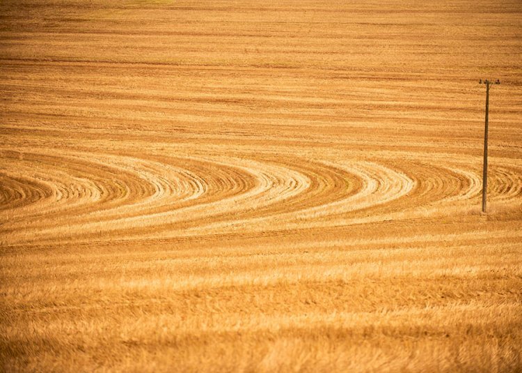 FGV: Brasil ganharia R$ 94 bi/ano com maior adoção de práticas sustentáveis no agro