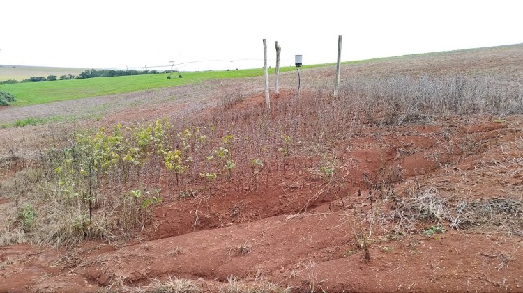 Chuvas intensas exigem atenção redobrada do produtor rural para evitar erosão do solo