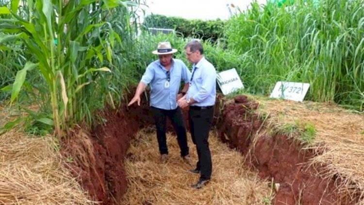 RS destaca tecnologias para melhorar a produtividade do solo no Espaço Terra Forte na Expodireto Cotrijal 